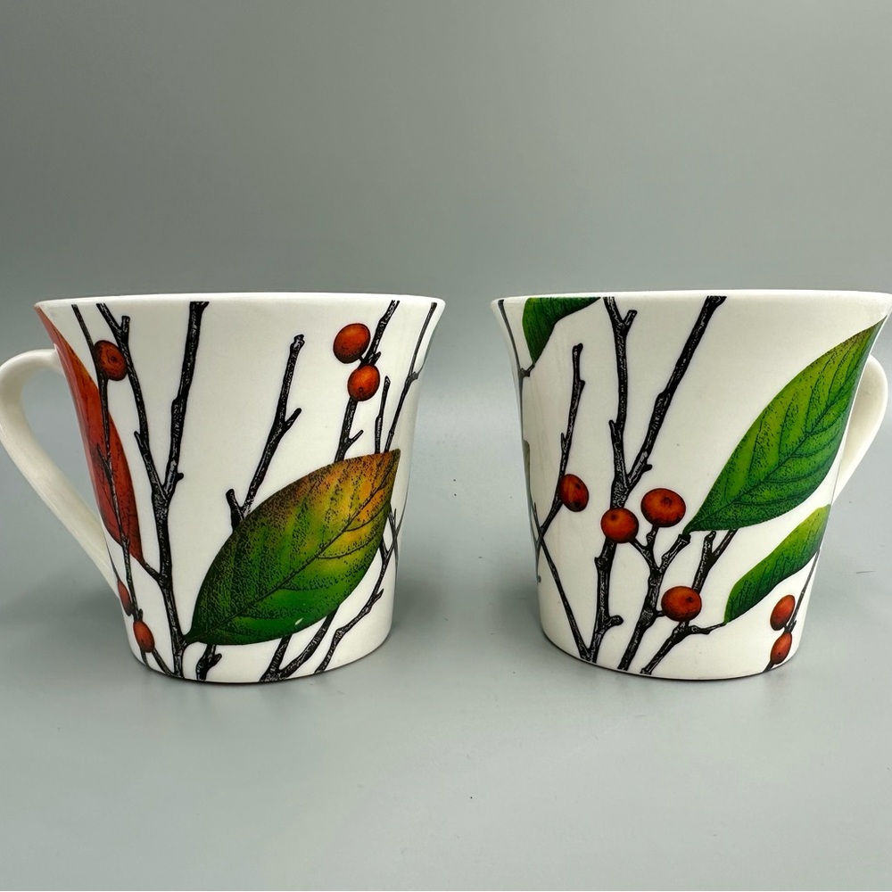 Botanical Gardens coffee cups from StL MO Botanical Gardens Gift Shop
